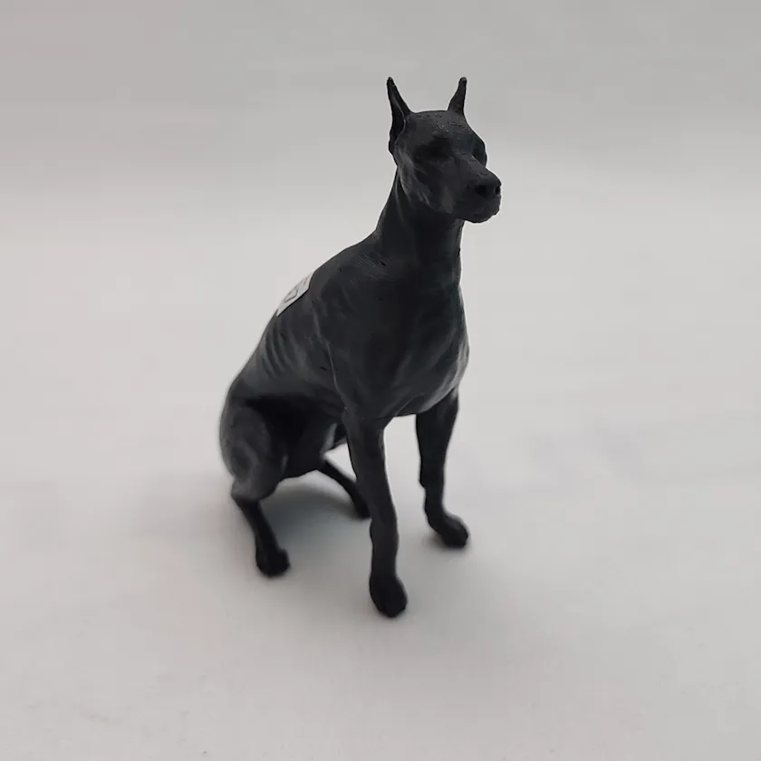 287 - Doberman