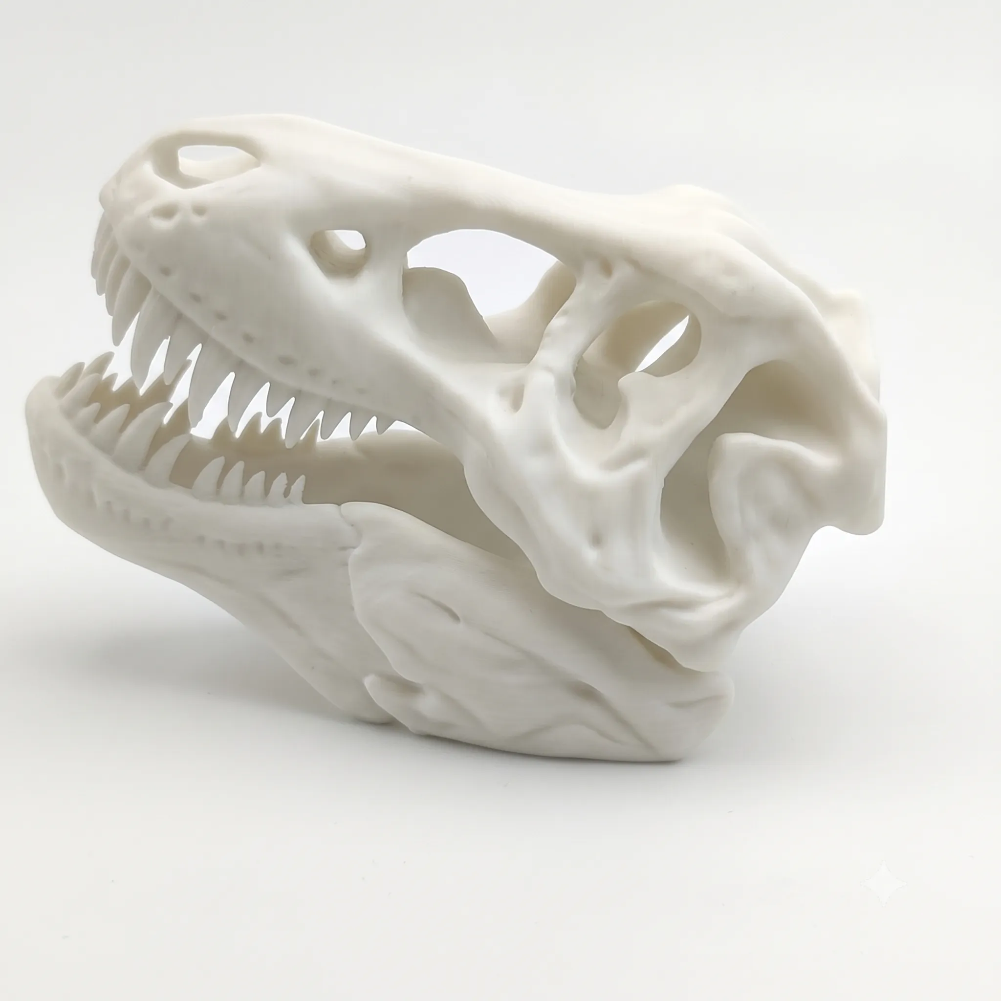 303 - Trex Skull