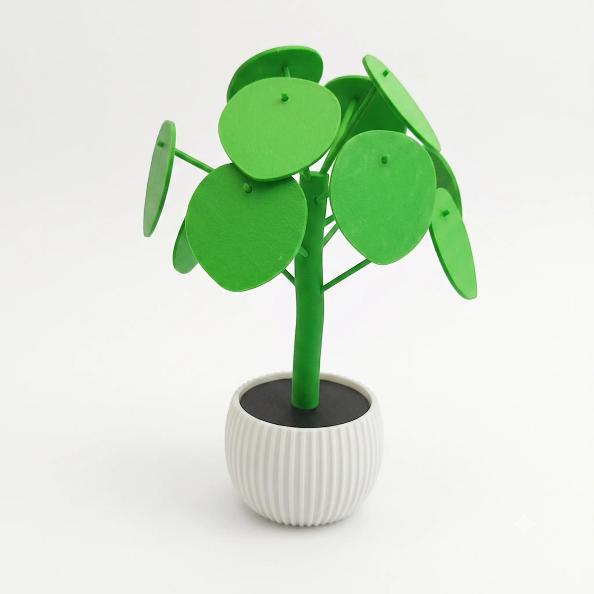 440 - Planta Pilea