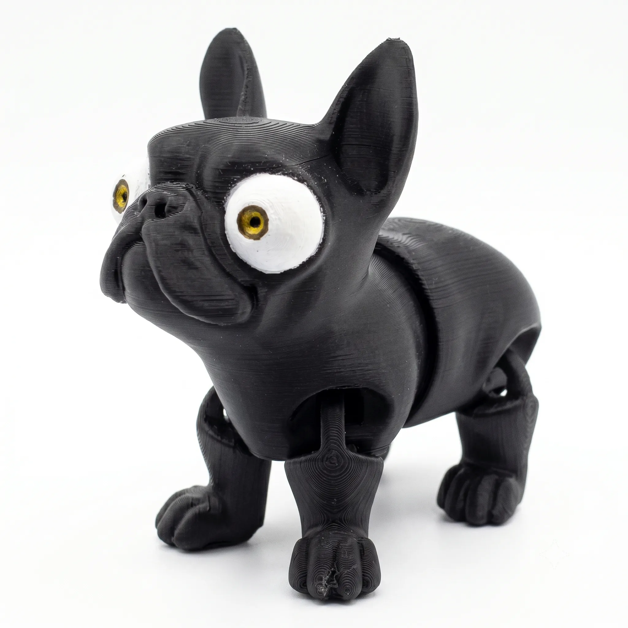 449 - Bull Dog Frances Flexi 210%