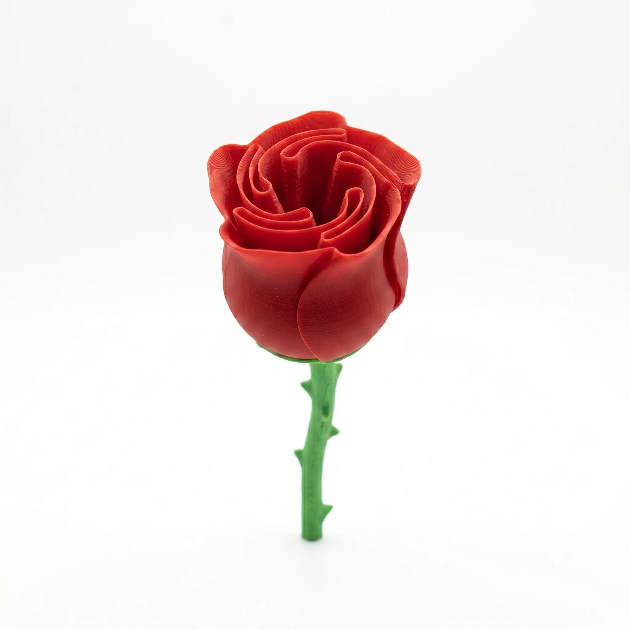 458 - Rosa