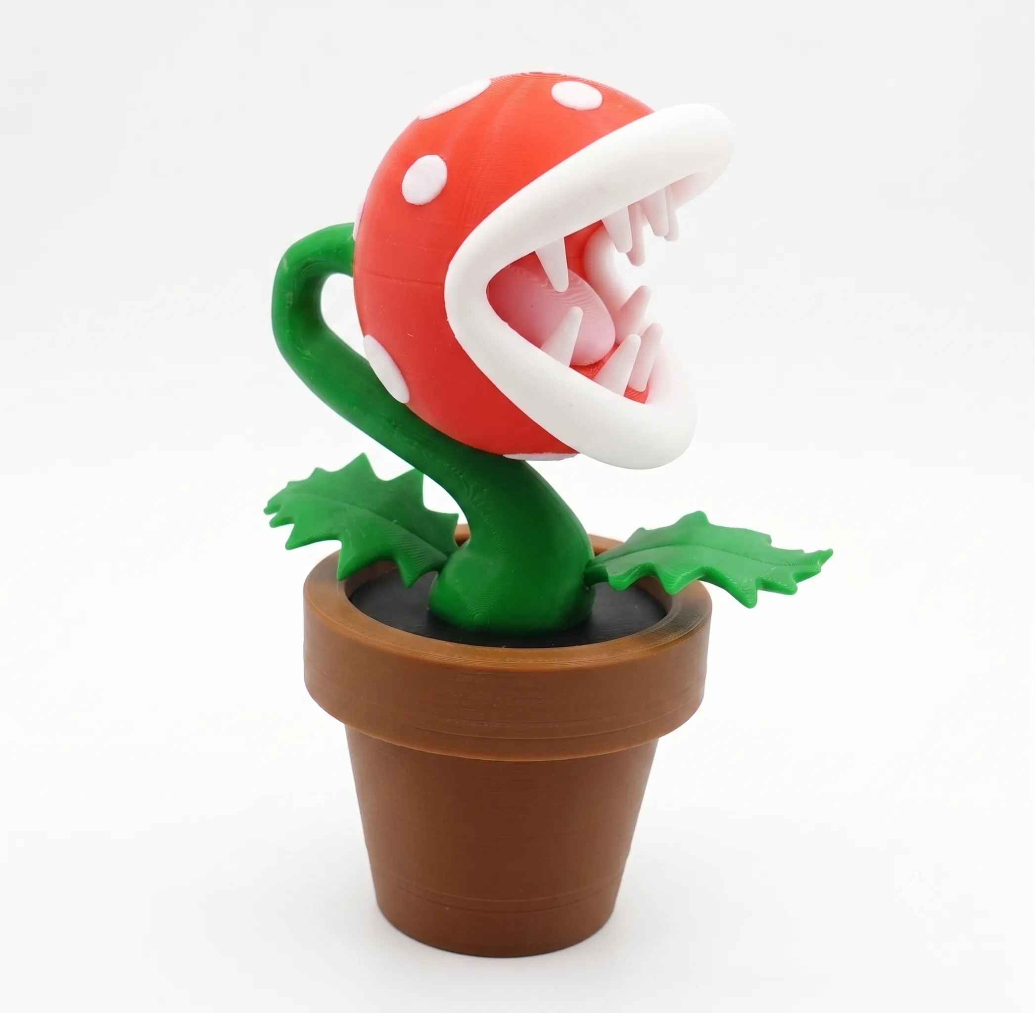 491 - Planta Mario