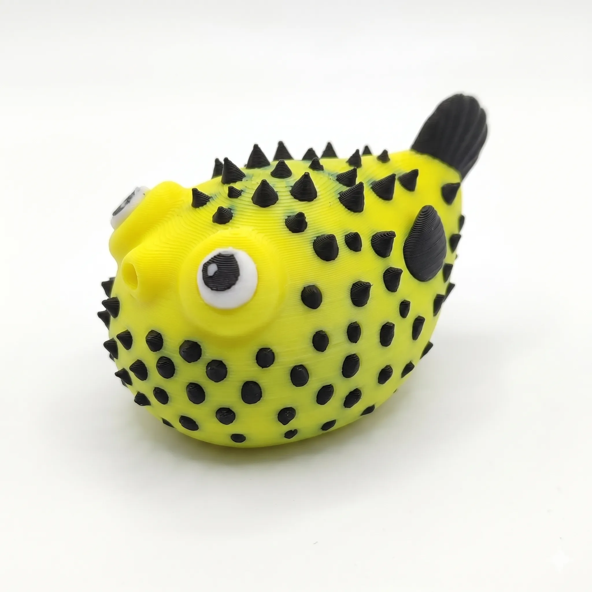 566 - Puffer espinoso inflado