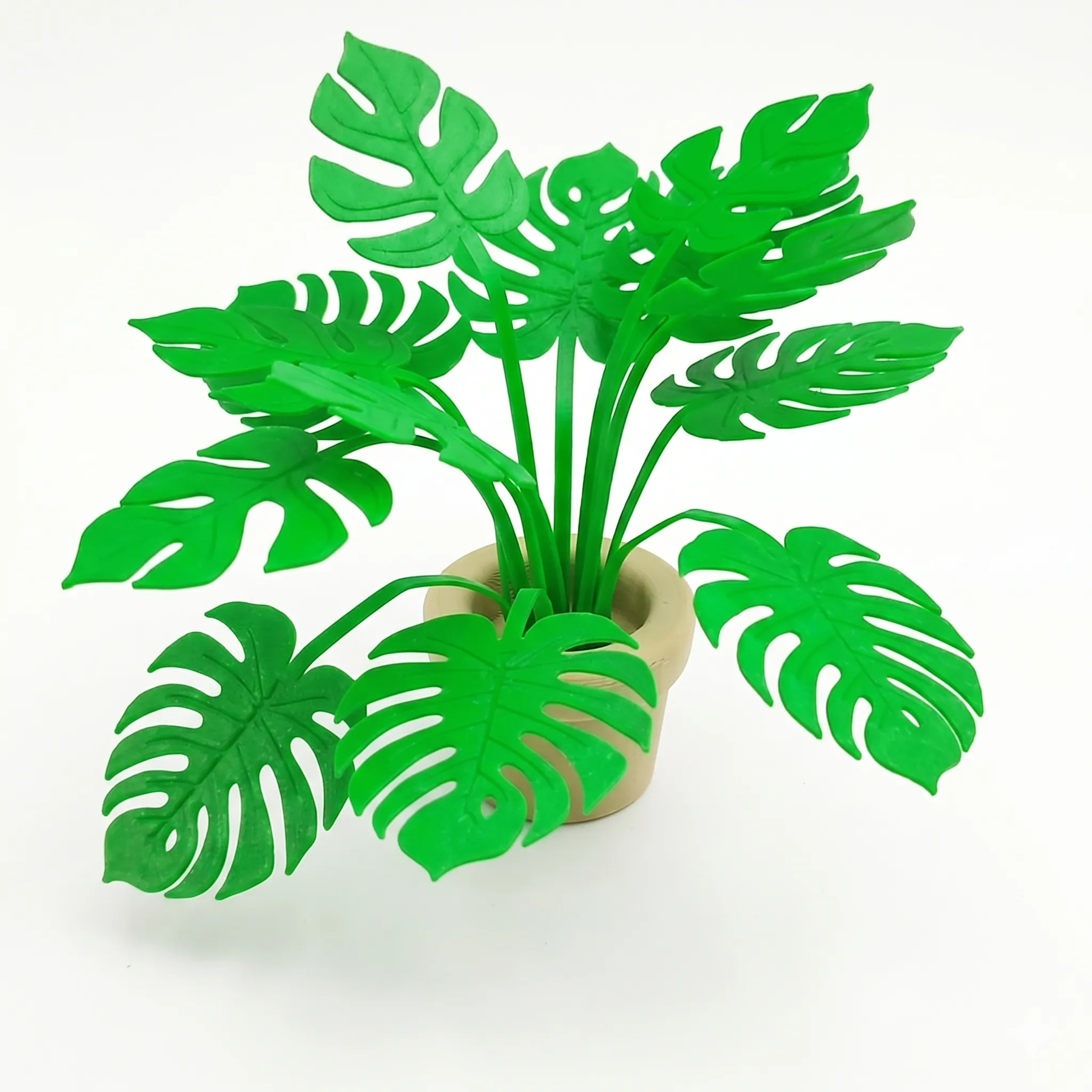 634 - Mini Monstera