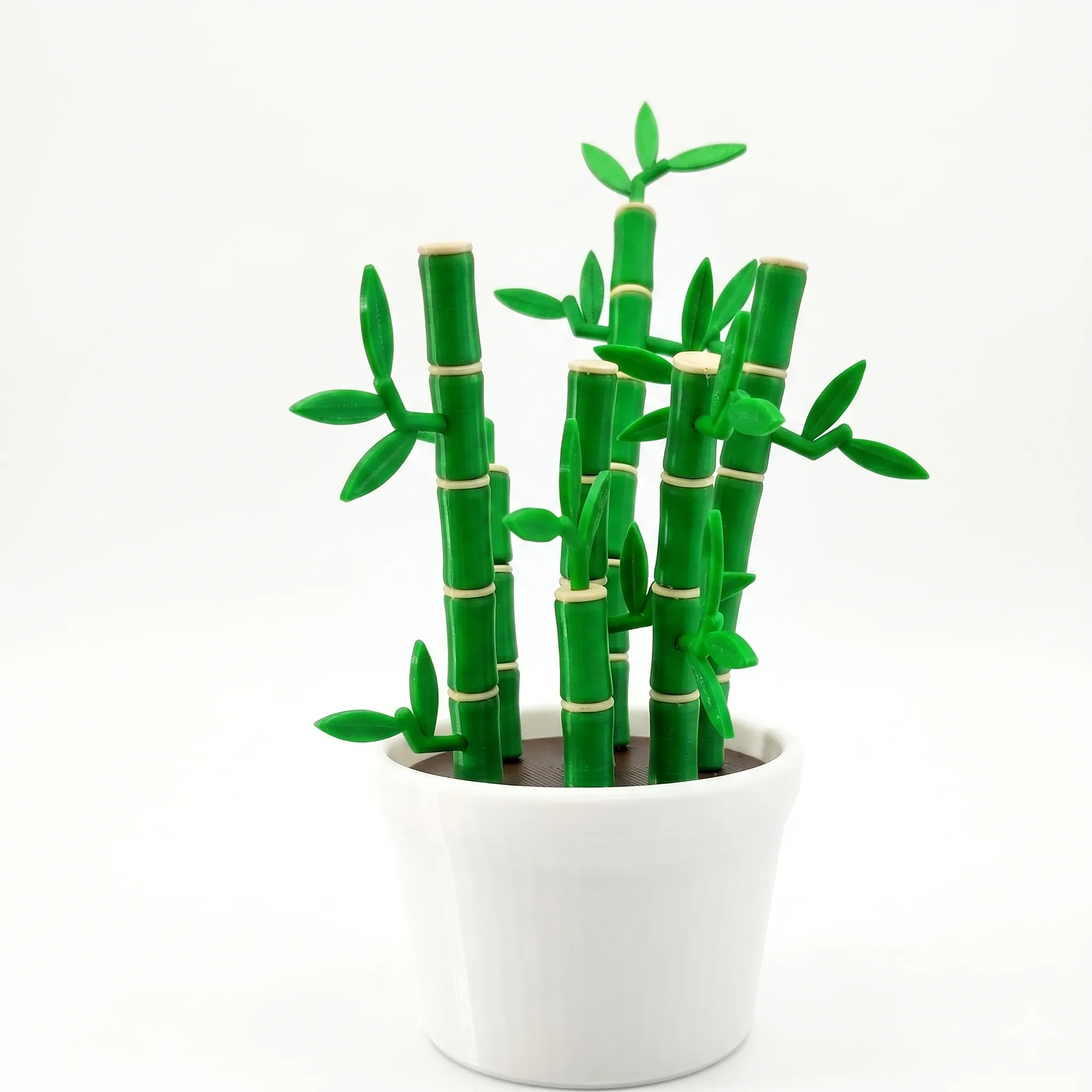 640 - Bamboo