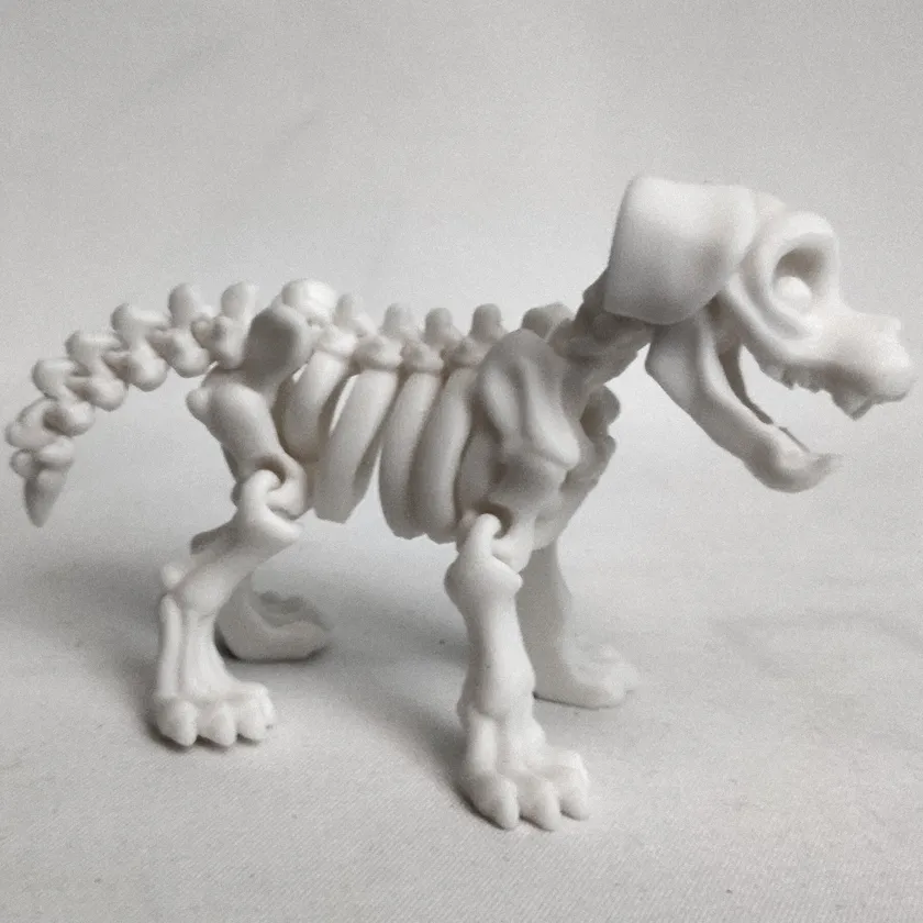 799 - Esqueleto de Perro