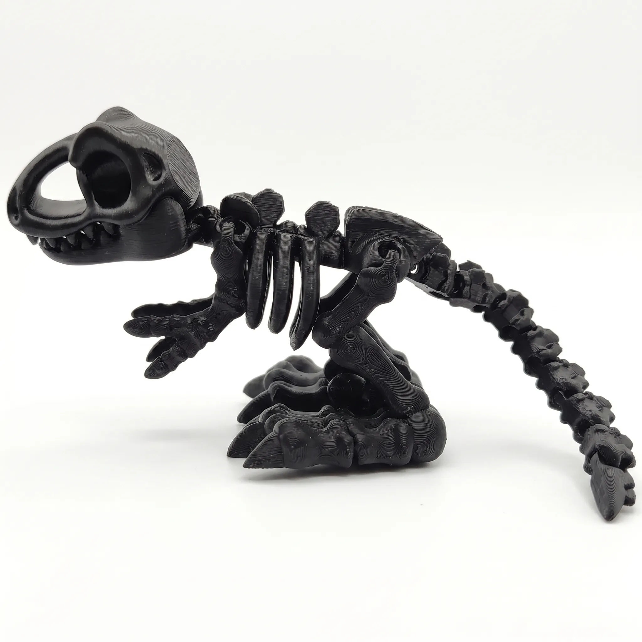 843 - T-REX Flexi [130%]