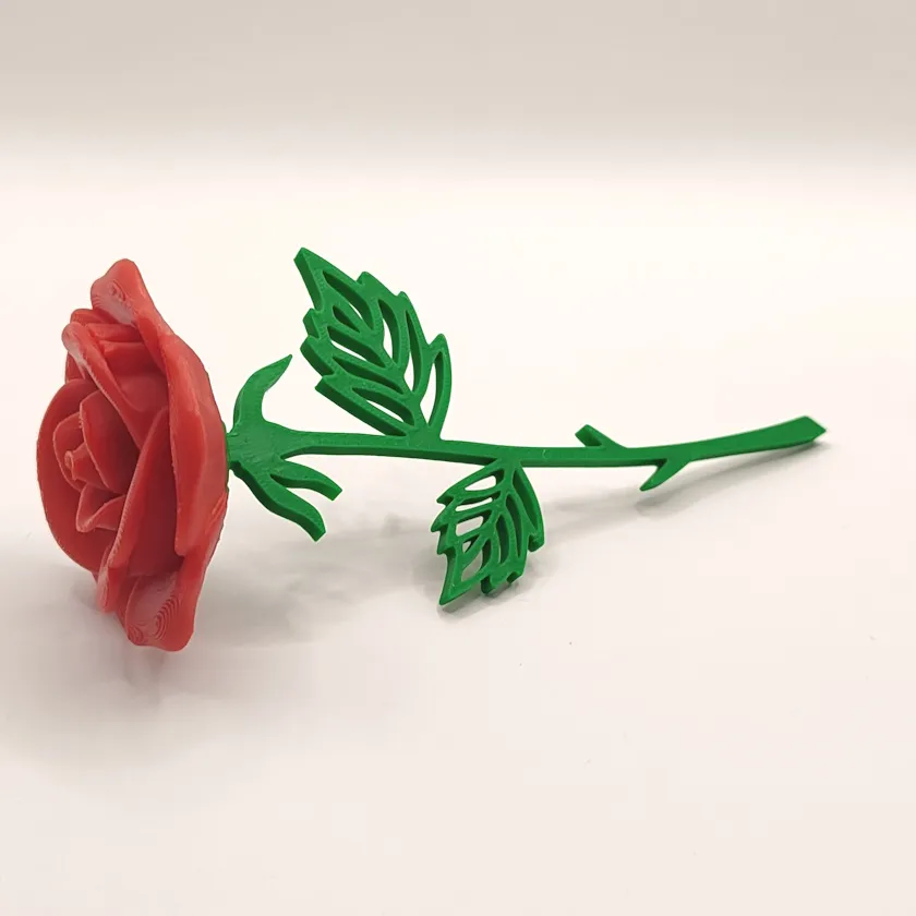 952 - Rosa