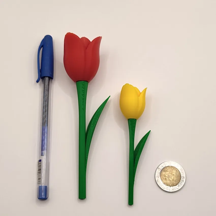 990 - Tulipan