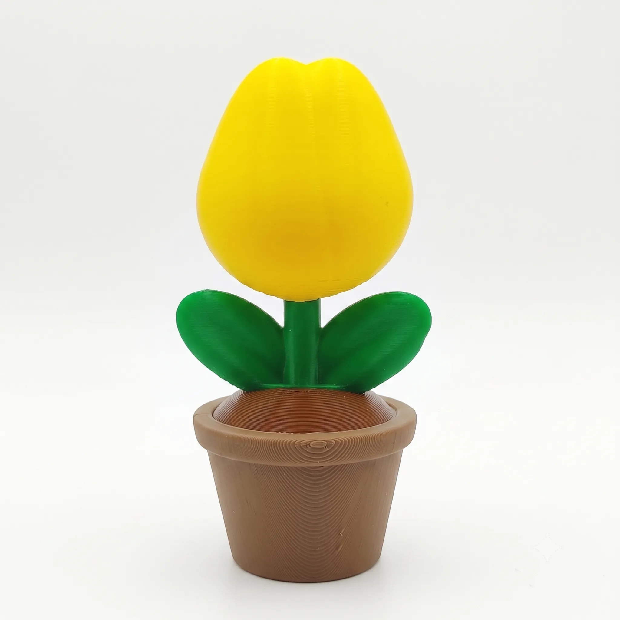 1000 - Tulipan en Maceta