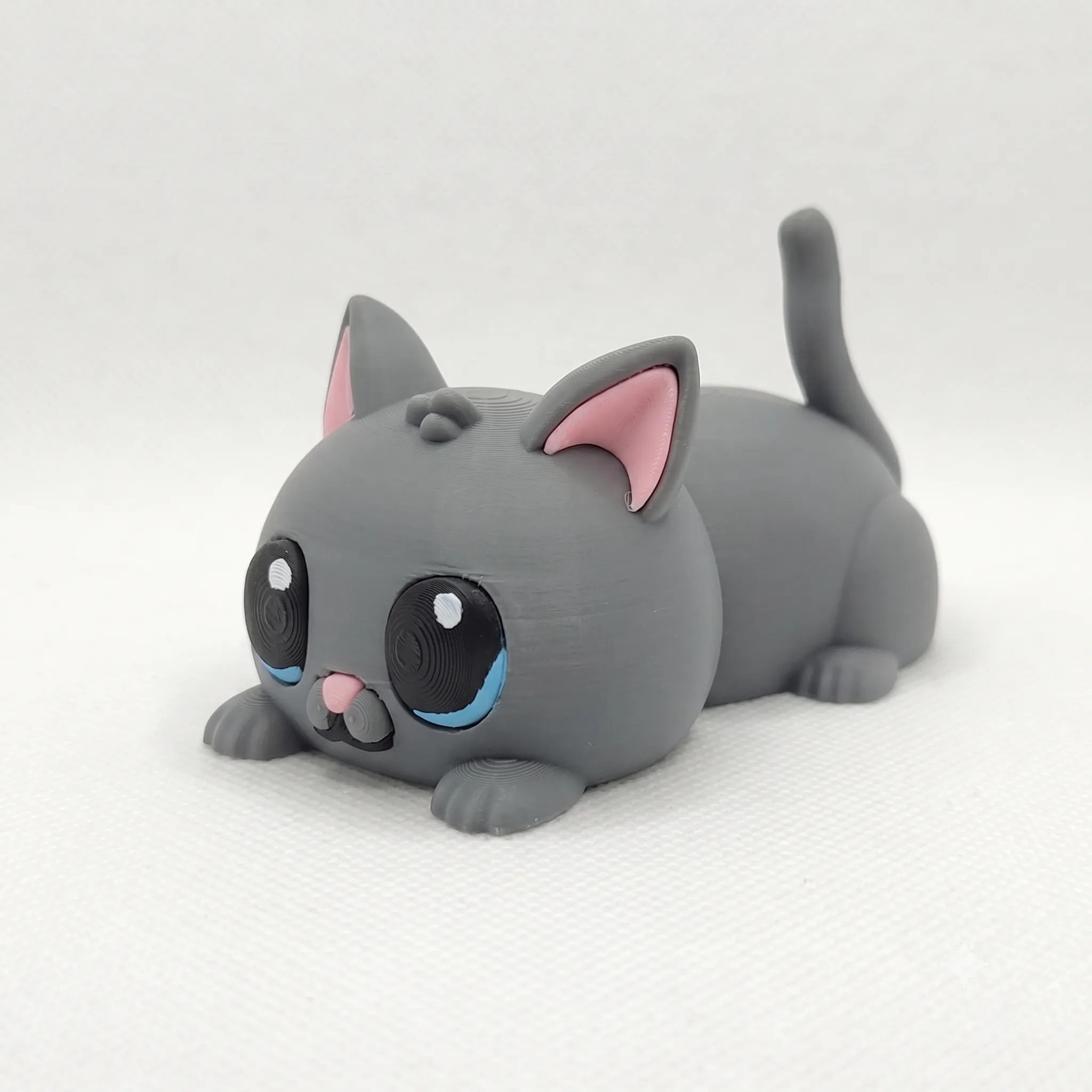 1009 - Gato