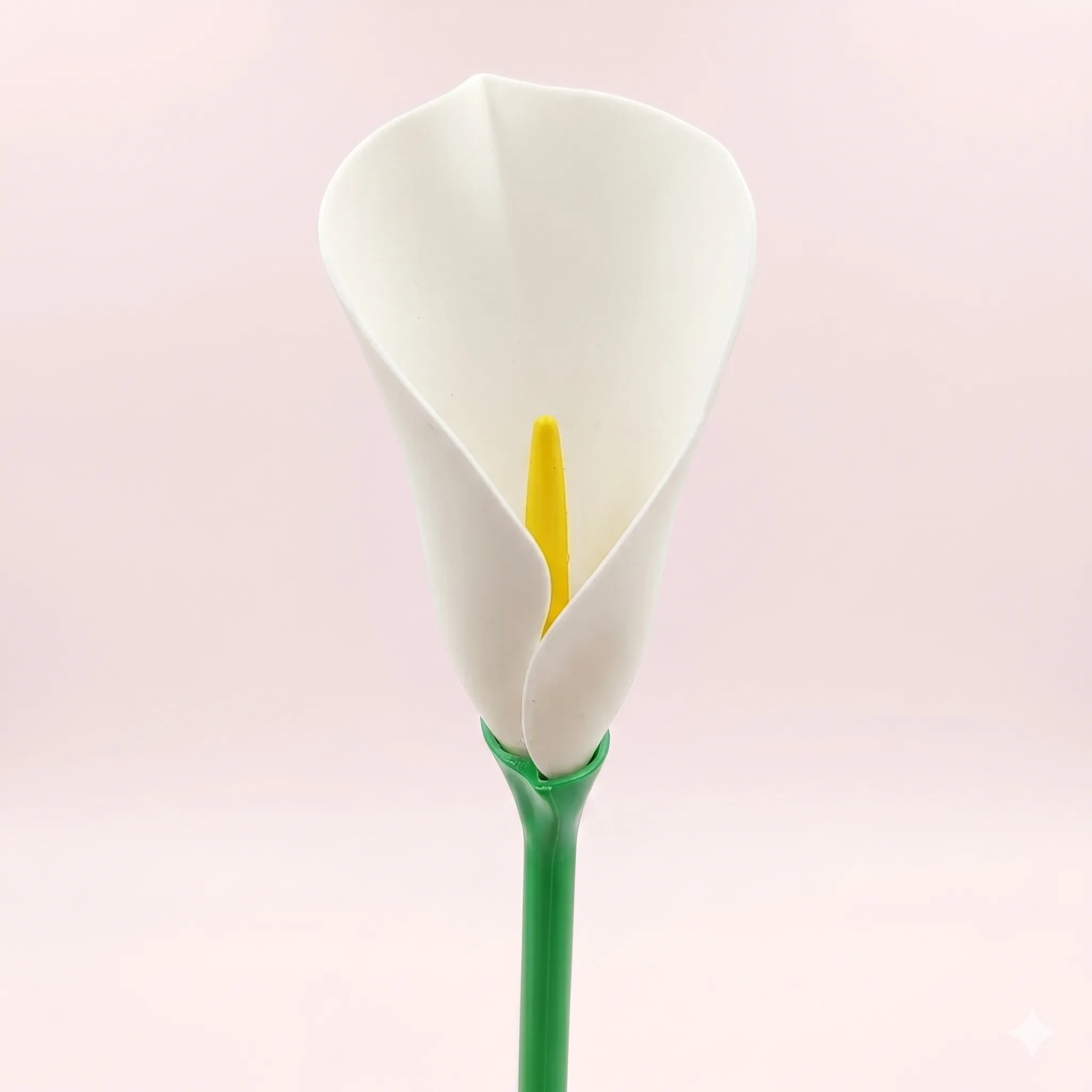 1120 - Flor de Alcatraz