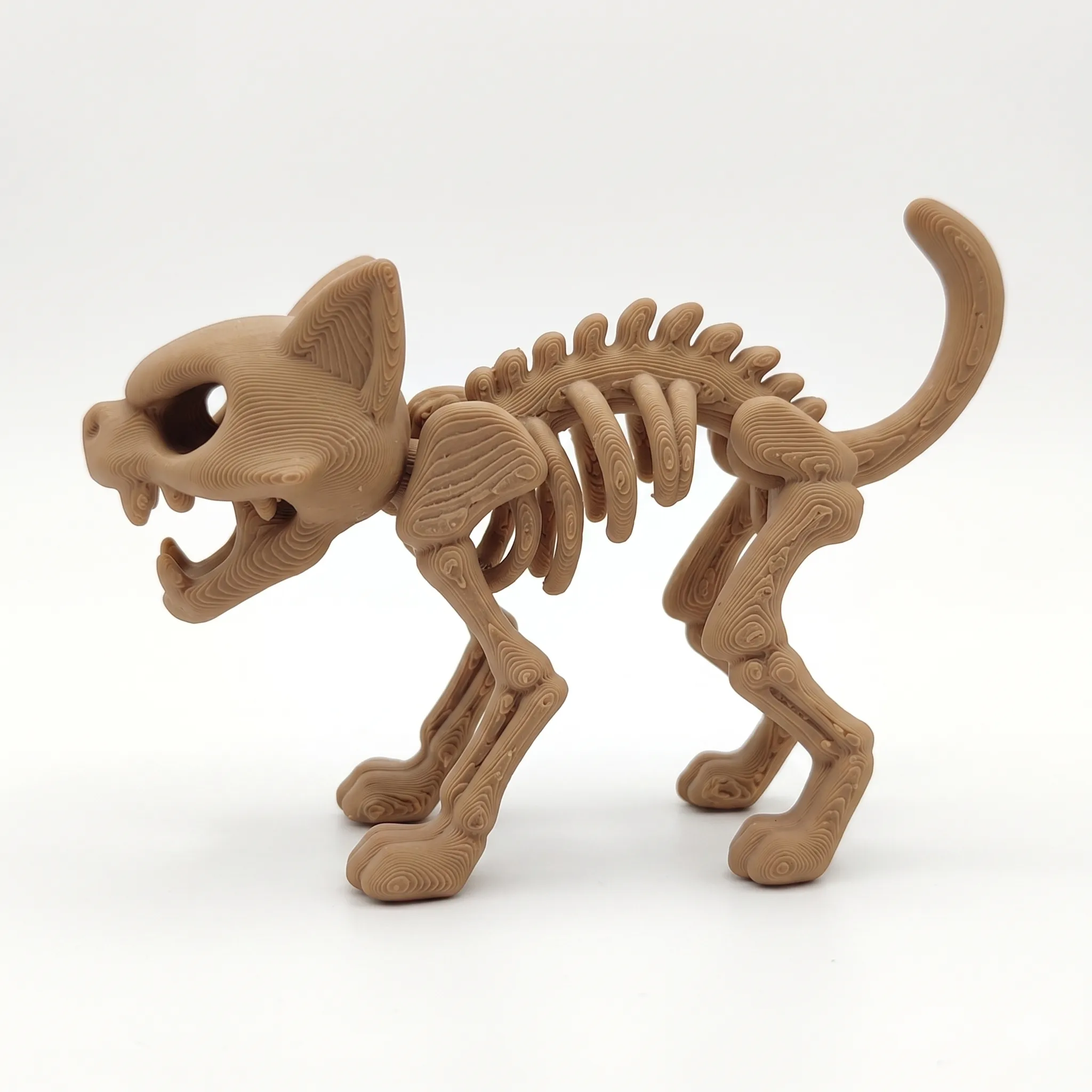1187 - Gato Esqueleto