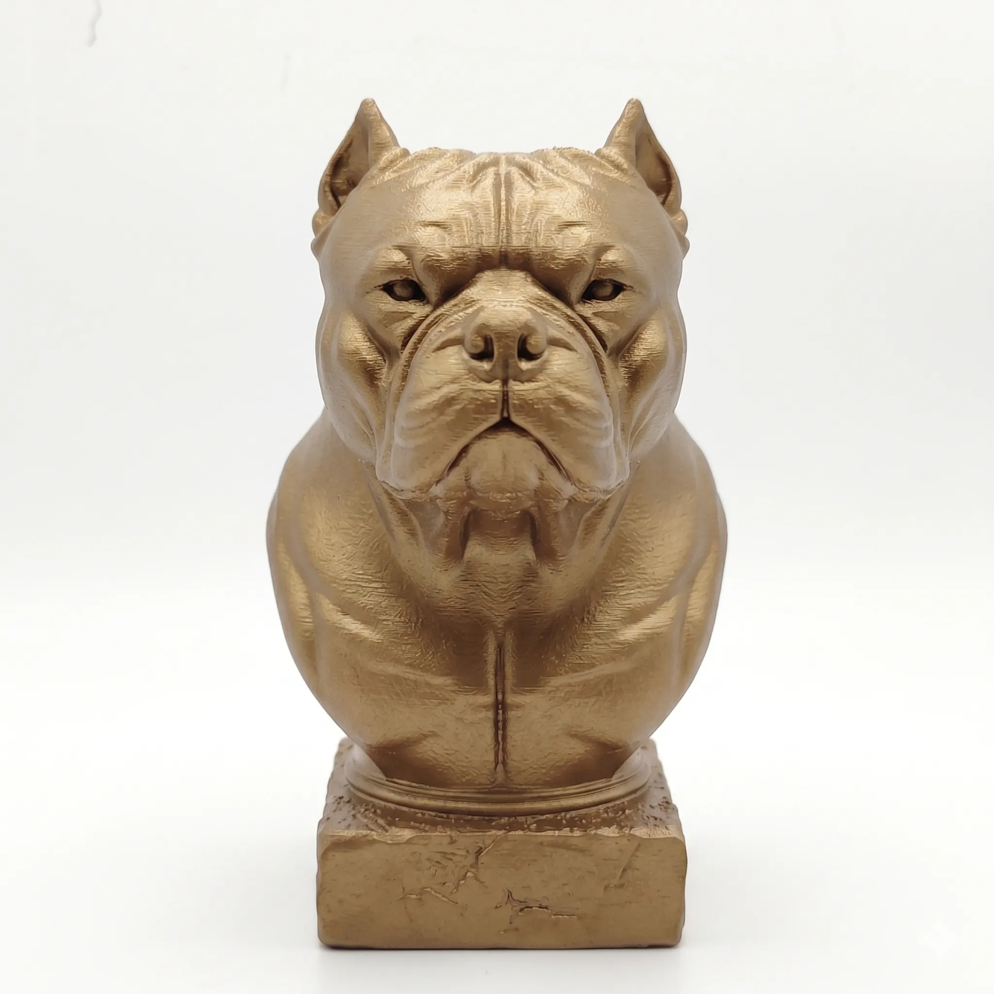 1304 - American Bully (Busto)