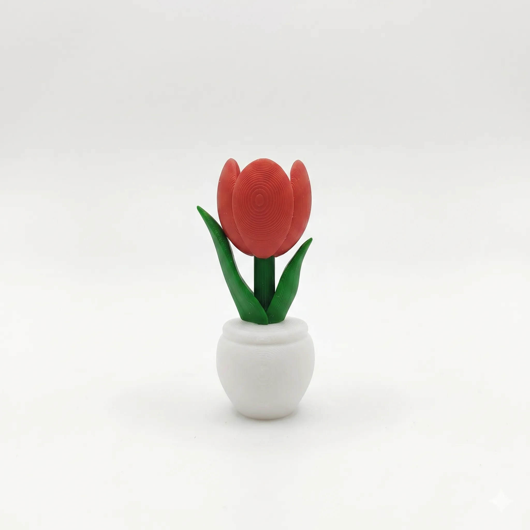 1377 - Tulipan para Refri
