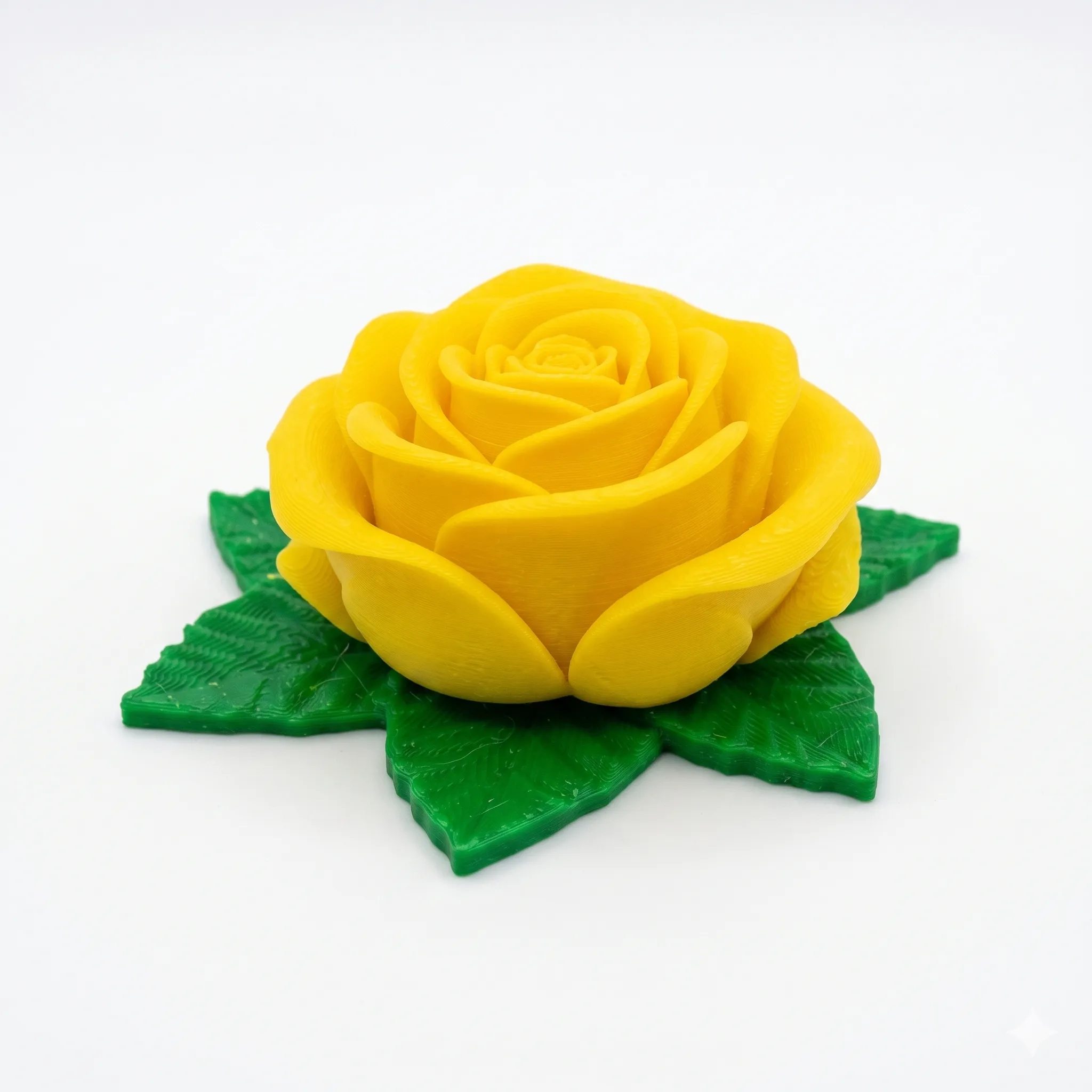 1385 - Rosa