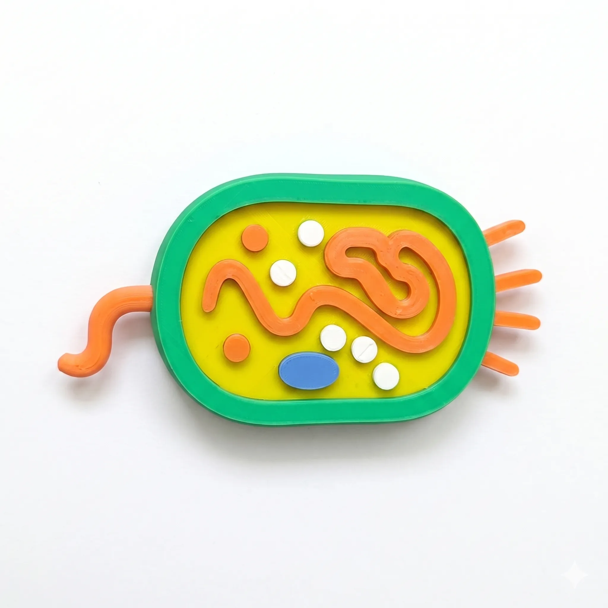 1447 - Bacteria