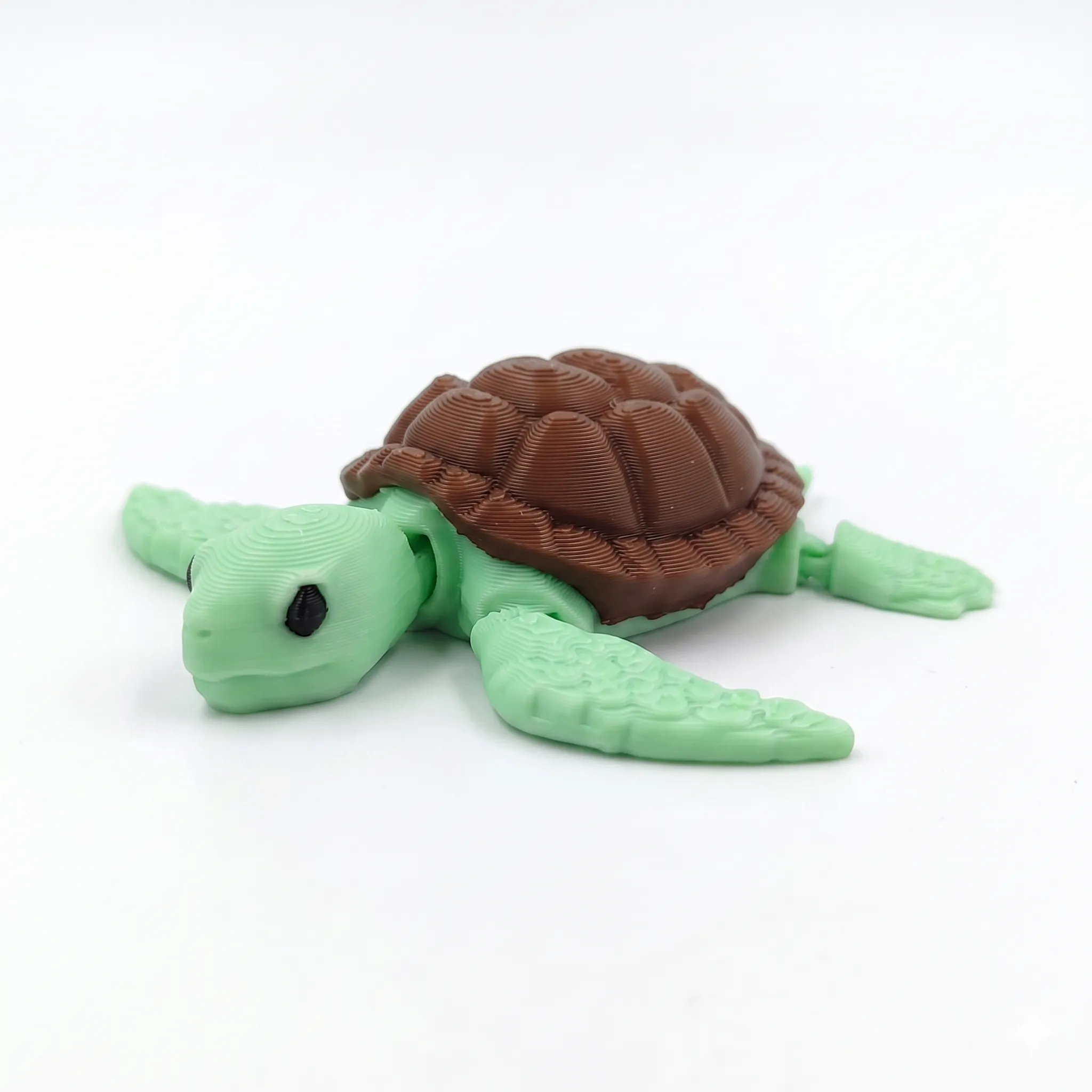 1457 - Tortuga