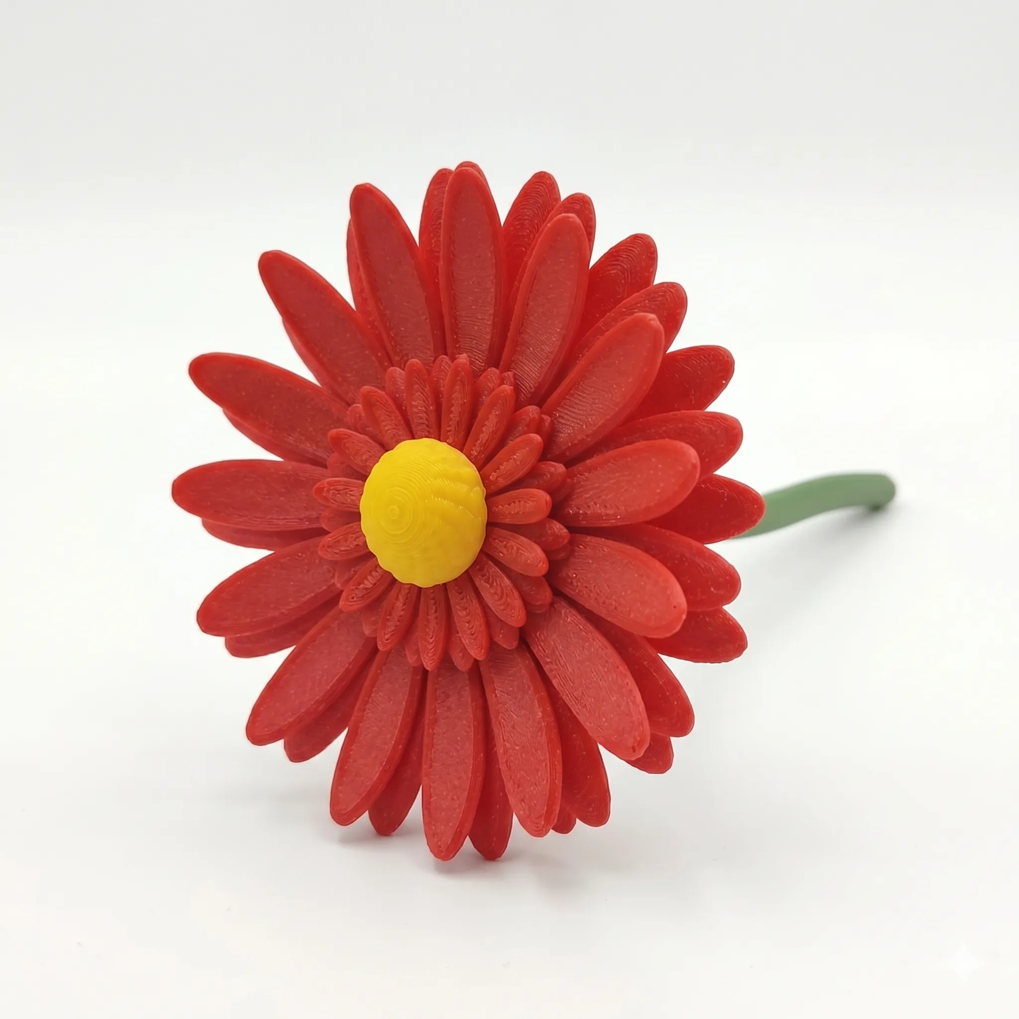 1464 - Herberas