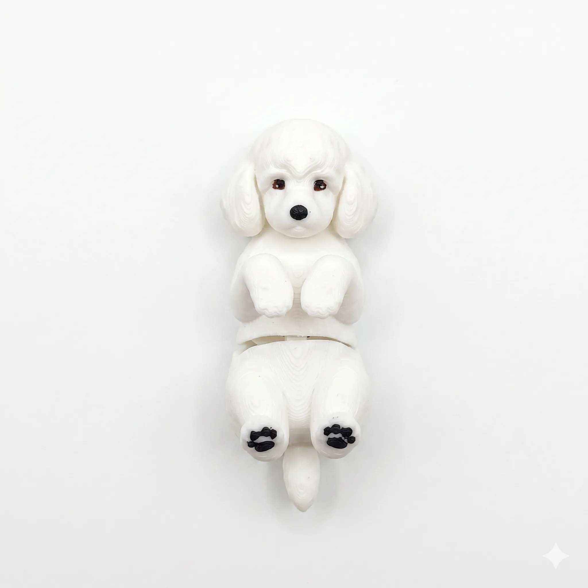 1594 - Caniche