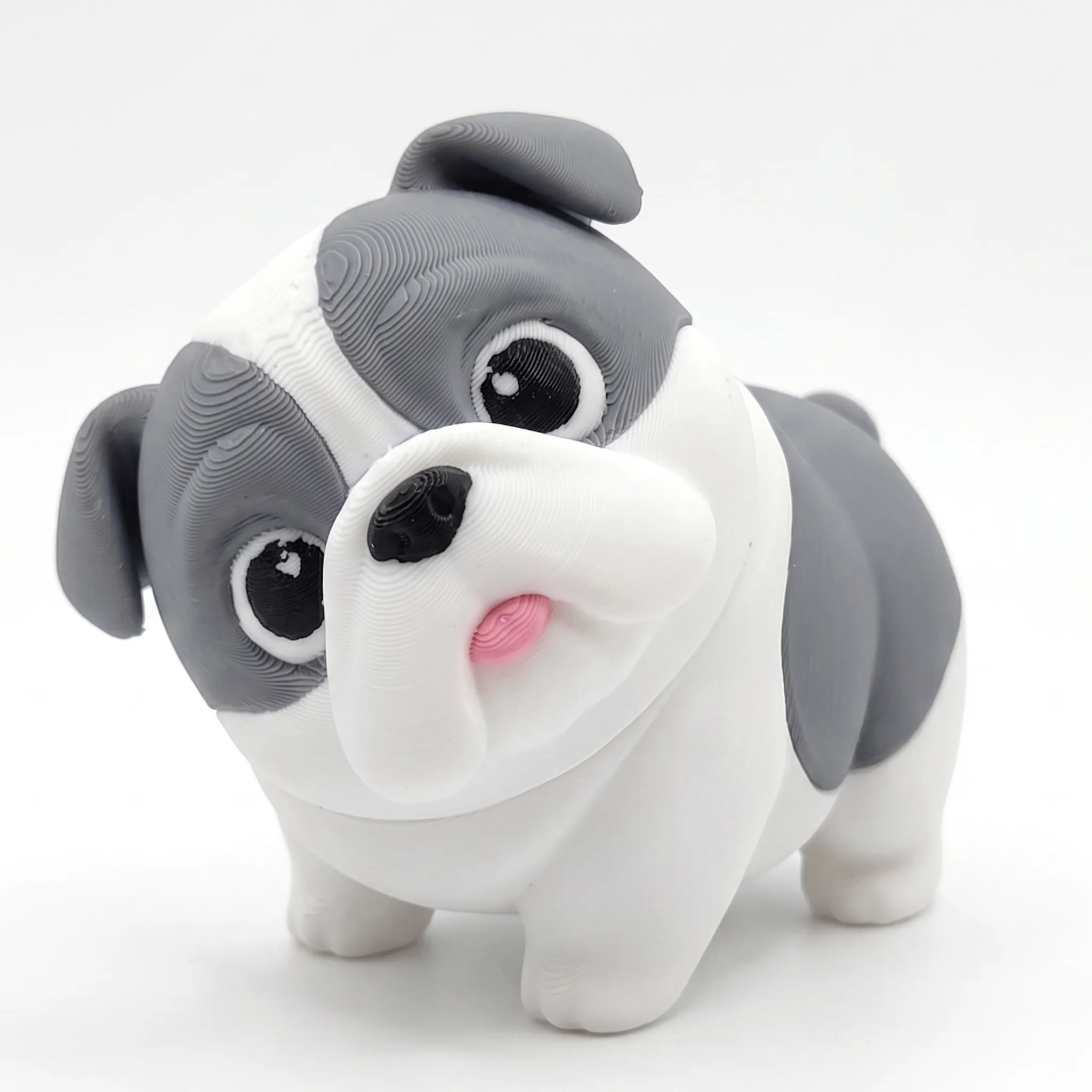 1636 - Bull Dog