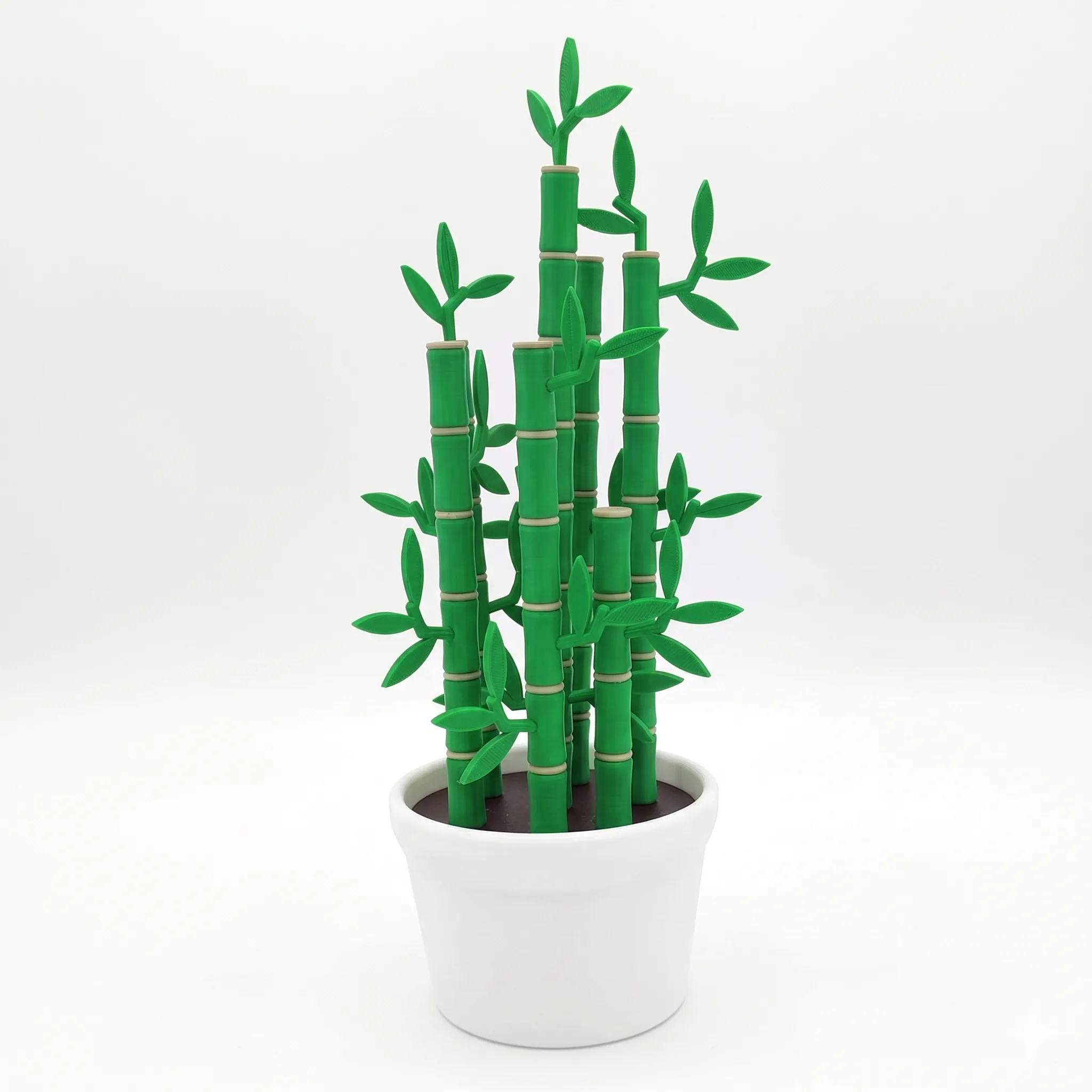 1660 - Bamboo