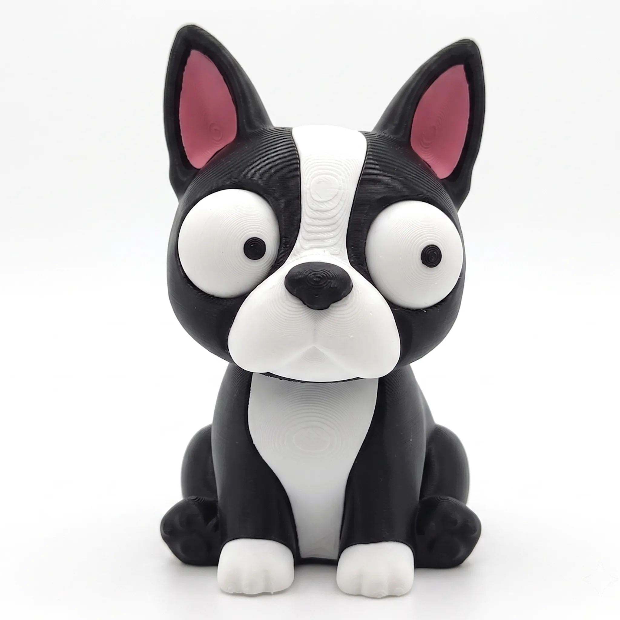 1703 - Boston Terrier