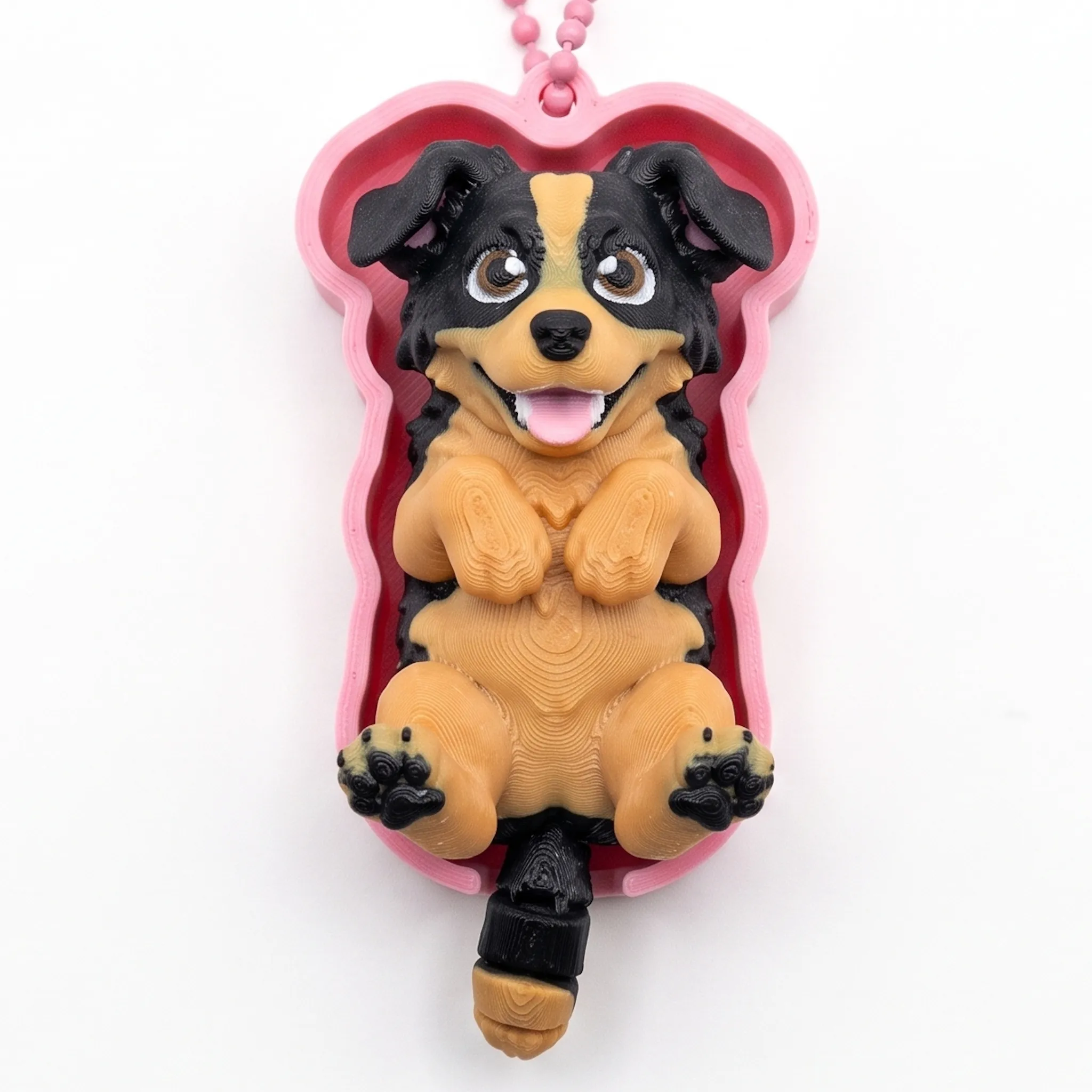 1810 - Border Collie