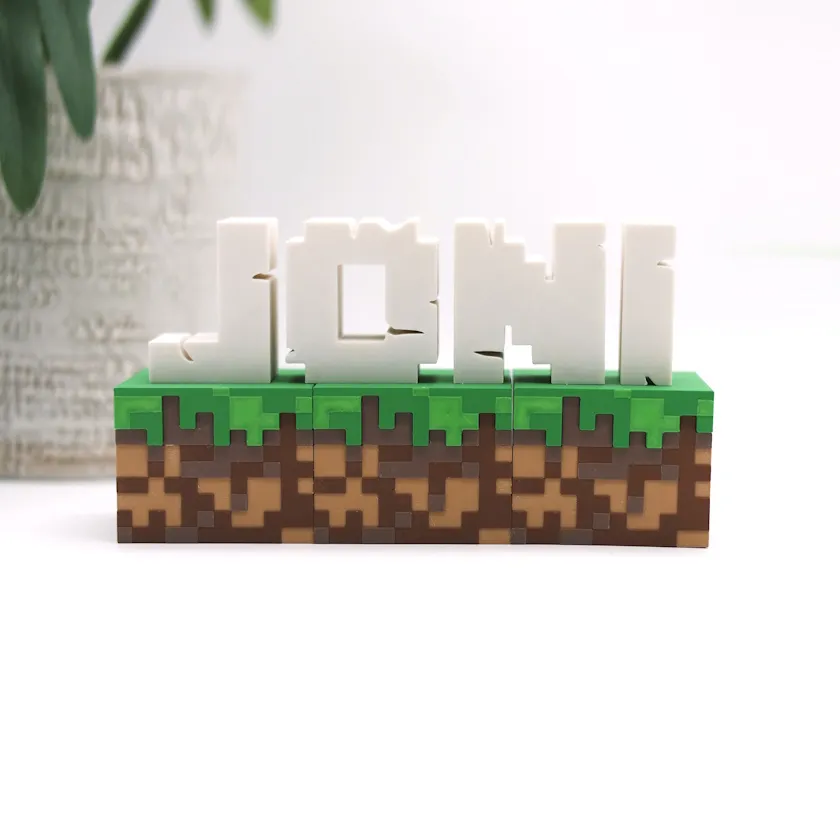Nombre personalizado Minecraft - 12 Piezas (5 cm c/u)
