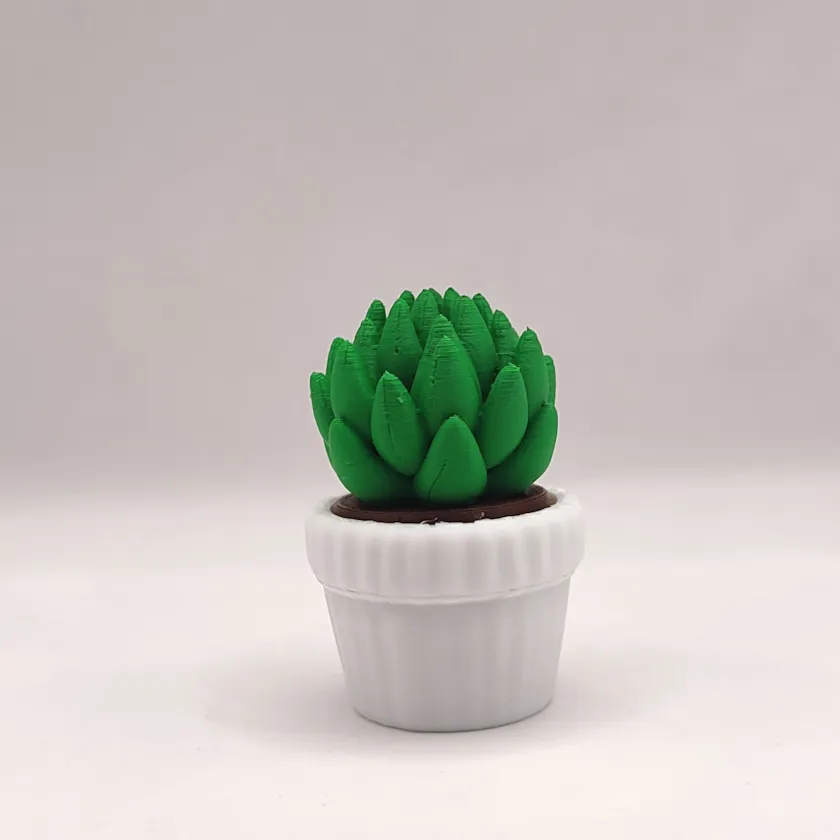 Suculenta (Clicker) - 6 cm