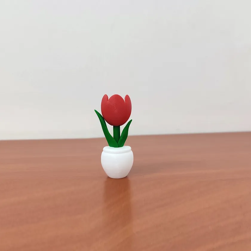 Tulipan para Refri - 6 cm