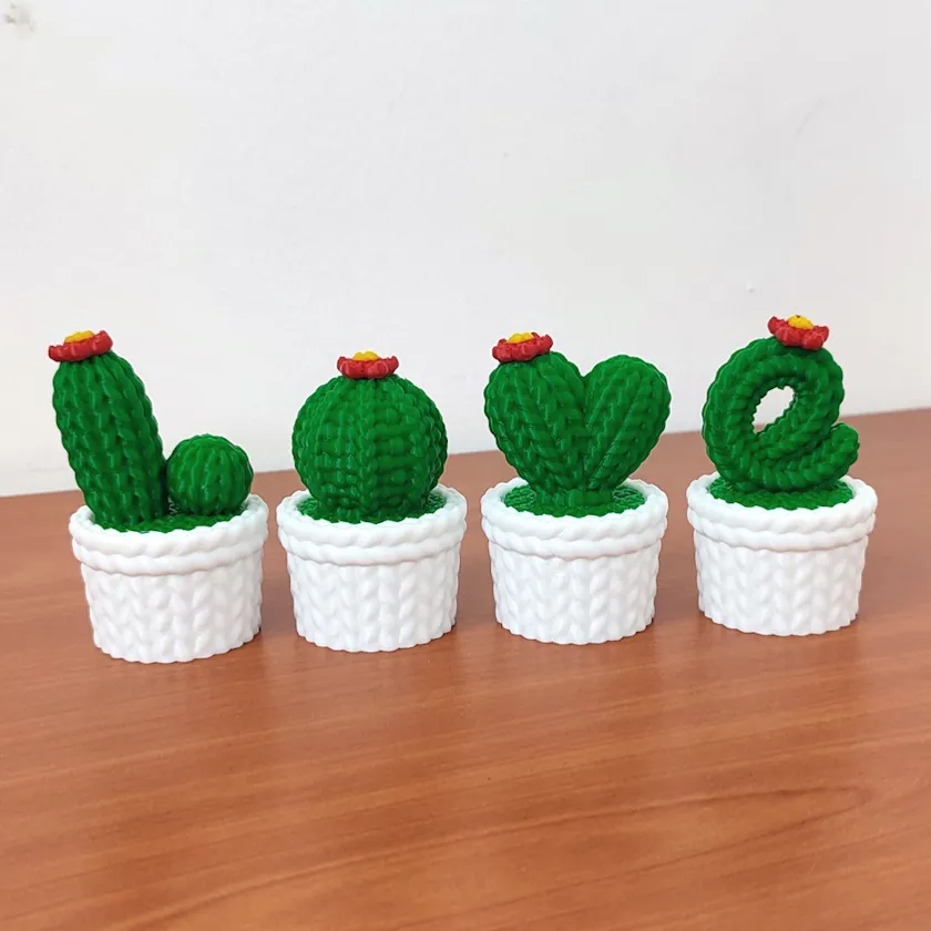 Set Cactus Love - 18 cm