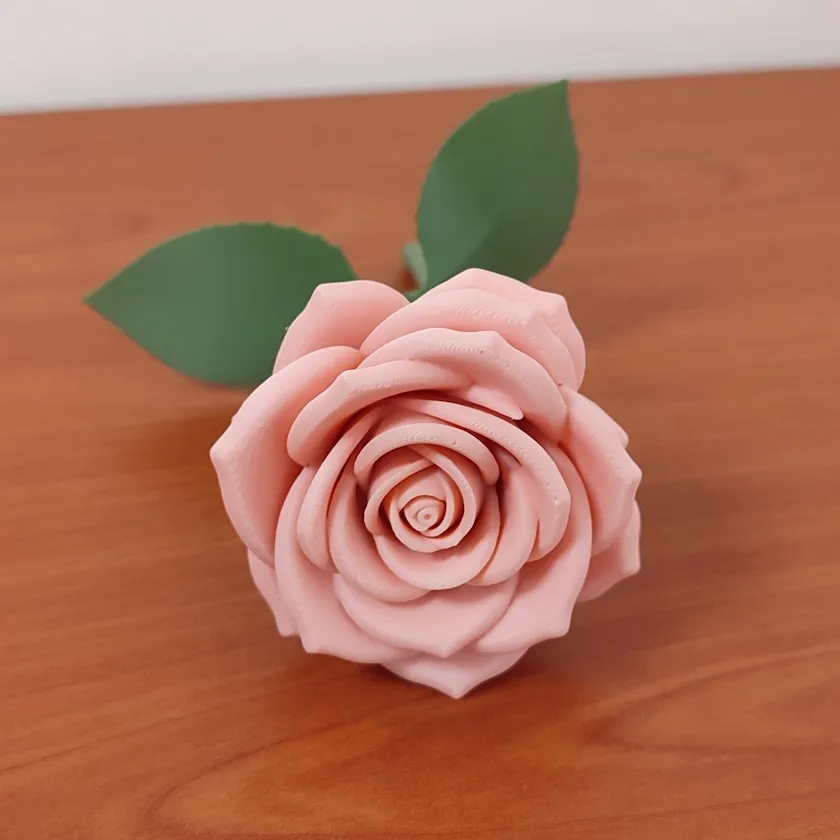 Rosa terciopelo - 14 cm